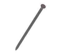 0,5kg de clous galvanisés à tête plate pour panneau Easyfix 1,6 x 30mm