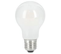 Ampoule LED, E27, 470lm remp. 40W, incandes., mate, lumière du jour