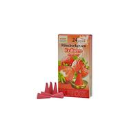 013370 - Cônes d'encens - Fraise 24 pcs, cône
