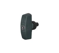 036806 Legrand Poignée avec barillet à clé 2433A pour coffret Atlantic, Atlantic Inox et Marina