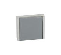 Legrand Prise de courant étanche Plexo 055706 3P+T 20A encastrable ou saillie Gris