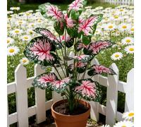 1/2 pièce Grande plante artificielle rose Monstera, grande décoration d'arbre de palmier artificiel, plante en pot à feuilles roses, plante tropicale réaliste grande et toujours verte, plante à feuill