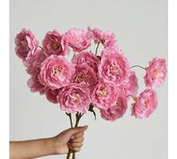 1/3/6 pièces Fleurs artificielles 1,74 pi, Lotus Pivoine en soie à 5 têtes avec tige longue, convient pour mariage, fête, décoration de cérémonie, arrangement floral DIY, décoration de salon, chambre,
