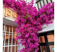 1/3/8 pièces Tiges de bougainvillier artificielles en soie, branches de bougainvillier fausses, plantes à tige longue pour décoration de mariage, décoration d'automne, maison, chambre, dortoir, salon,