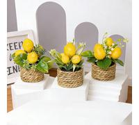 1/3pcs Plantes de citron artificielles, tressées avec des cordes d'herbe de mer, comprend un pot, fabriqué en matériau PE, 3 styles disponibles. Utilisation polyvalente : - Décoration de bureau - Déco