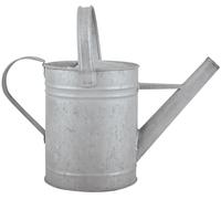 1,5 Litres Arrosoir En Zinc. Design Robuste Pour Votre Arrosage De Jardin.