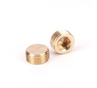 1/5 pièces M5 M6 M8 M10 M12 M14 M16 M18 M20 M22 1/8 "1/4" 3/8 "1/2" 3/4 "1" BSP NPT filetage mâle en laiton douille hexagonale bouchon raccord de tuyau (Size : M10x1.25 5PCS)