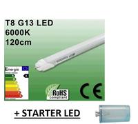 1 AMPOULE TUBE LED NEON 20W ULTRA BLANC 6000K - 120 CM + STARTER LED