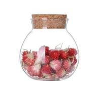1 bocal rond en verre transparent de 500 ml avec bouchon en liège pour épices, collations, fleurs, thé, bonbons, assaisonnements et plus encore