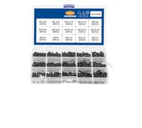 1 Boîte Kit de Vis Autotaraudeuses à Tête Ronde Noire Pa, M2.6 M3 | Boîte de Rangement Incluse, Acier au Carbone, pour Bois et Tôles Fines, Usage Maison ou Atelier