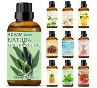 1 bouteille/2 bouteilles d'huiles essentielles parfumées, convenant pour diffuseur d'arômes, humidificateur, diffuseur de voiture, parfum d'intérieur, recharge d'huile essentielle pour fabrication de