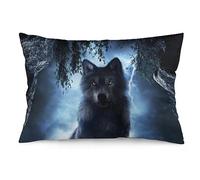 1 housse de coussin décorative douce motif loup seul ciel orageux 35 x 50 cm
