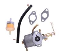 1 Jeu de Joints Filtre à Carburant carburateur adapté la Plaque vibrante Scheppach HP 800S 1121