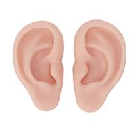 1 Paire de Modèles D'oreille en Silicone Souple, Accessoires D'affichage de Simulation Humaine 1: 1 Flexibles, Outils D'enseignement pour Prothèses Auditives, Bijoux, Boucles