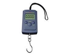 1 PC multifonctionnel Mini 40 kg/10g électronique suspendu bagages de pêche Balanca Portable numérique, Polyvalent