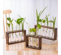 1 pièce / 3 pièces / 5 pièces Ensemble de vases à tubes à essai en acrylique transparent avec jardinière auto-arrosante. Décoration minimaliste moderne pour jardin d'intérieur, purification de l'air, 