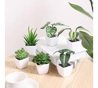 1 pièce/6 pièces Mini plantes en pot de simulation combinées - pour la décoration de table de la maison, la Saint-Valentin, les cadeaux Taille Unique,A,B,C,D,E,F,6 pièces,260008P-GR1 1PC,260005P-GR1 1