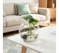 1 pièce Bouteille en verre ronde diagonale, bouteille de micro-paysage, bouteille de plante succulente et de mousse, décoration de micro-paysage transparente, décoration de chambre, décoration de mais