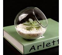 1 pièce Bouteille en verre ronde diagonale, terrarium de micro-paysage, pot de plante grasse et de mousse, décoration de micro-paysage transparente, décoration de chambre, vase à fleurs décoratif pour