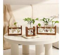 1 pièce Cadre en bois créatif Vase à fleurs hydroponique, terrarium pour verdure, décoration de bureau/maison double bouteille,une seule bouteille,trois bouteilles,Cinq bouteillesPolychlorures de viny