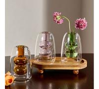 1 pièce Diffuseur d'aromathérapie Bouteille en verre transparent Bouteilles d'huiles essentielles avec bâton parfumé Contenants de rangement pour la maison Cadeaux d'anniversaire, de , Décoration de t