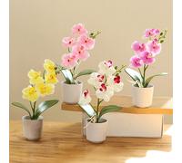 1 pièce Orchidée papillon artificielle plante en pot, fleur décorative de simulation, cadeau de Saint-Valentin Taille Unique,Blanc,Blanc 1Papetier