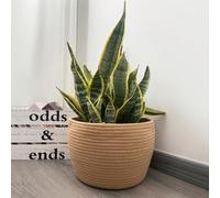 1 pièce Panier de plante en corde tressée, panier tressé moderne pastoral, boîte de rangement pour pot de fleurs au sol, pot de fleurs rond tressé fait main, pot de fleurs de grande capacité de couleu