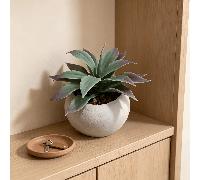 1 pièce Plante grasse artificielle en pot, sans entretien, ajoute de l'ambiance à l'espace, style nordique Ins, convient pour l'entrée de la maison, le bureau, l'hôtel, la photographie et autres décor