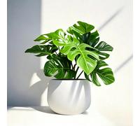 1 pièce Plante Monstera artificielle, Monstera factice de 6 pouces avec pot de fleurs blanc de 6 pouces, convient pour le bureau, la décoration de la table à manger, la décoration de la maison, la déc
