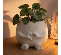 1 pièce Pot de plante succulente en forme de cœur de fleur mignon, rangement de bureau multifonctionnel mini, convient pour le bureau, le bureau, la décoration de rebord de fenêtre, une excellente idé