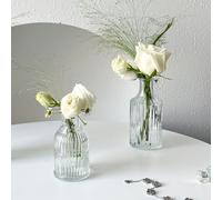 , 1 pièce Vase à germe en verre transparent 100/150/200/250 ml - Petit vase à fleurs - Vase décoratif de style rétro - Décoration de mariage de campagne Mini vase rétro - Décoration de table de salle 
