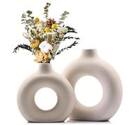 1 pièce Vase en plastique, vase de décoration d'intérieur moderne en forme de donut, décoration d'intérieur, vase, centre de table, décoration de table 2 pièces, blanches (grandes),2 pièces, couleur a