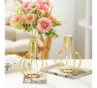 1 pièce Vase en verre transparent - Avec cadre en fer forgé, convient pour plante hydroponique, plante décorative, forme géométrique, vase tube à essai unique, peut être utilisé comme décoration de ta