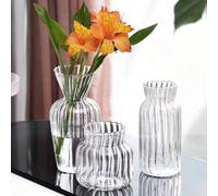 1 pièce Vase en verre transparent, mini-conteneur à fleurs avec motif vague pour fleurs séchées et fleurs coupées, convient pour la décoration de la maison, la décoration du salon, l'exposition de vas