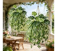 1 set de feuilles de tortue artificielles et d'orchidées araignées, édition spéciale printemps 2026 Plantes vertes hautes réalistes avec tiges et feuilles, lianes et feuilles simulées, convient pour l