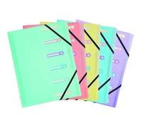 1 Trieur 6 compartiments, 3 rabats, fenêtres découpées, fermeture élastique, format A4, bureau .