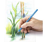 1 x STAEDTLER 14610C M24, crayons aquarellables, 24 pièces 100 % PEFC