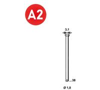 10 000 Finettes Brads en Bande 34° Inox - 1.8/3.1x38 mm - D-Work