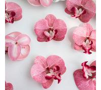 10/30 pièces/set Fleurs d'orchidée en soie artificielle, bouquet de mariée, plantes artificielles pour la Saint-Valentin, décoration de mariage, matériaux pour couronnes DIY, accessoires de mariée, dé