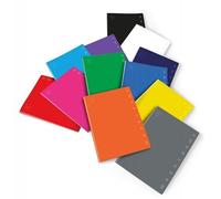 10 Carnets Monochrome 0,229,887 4m Rayures 4m