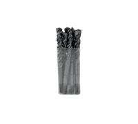 10 Forets béton 2 taillants Tivoly Technic Speeder 2 - Ø10 160mm