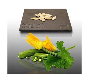 10 Graines À Semer - Le Grenier D'abondance - Courgette Verte Des Maraichers Non Coureuse - Curcurbita Pepo