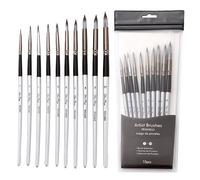 10 Pièces Argent Noir Tige Brosses Pvc Sac Huile Brosse Ensemble Aquarelle Pinceau Pointe Peinture Ensemble Huile Pinceau