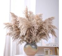 10 pièces/boîte Décoration en herbe de Pampas artificielle, bouquet de roseaux de Pampas factices de 44 cm, décoration en herbe de Pampas marron, décoration florale de style bohème pour la maison, déc