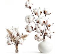 10 pièces Fleurs de Coton Sechee Branche, 5 pièces Fleurs de Tête de Coton | YALiya Naturelle Fleurs Sechees Tige Coton Fleur, Plantes Décoration, pour Balcon Maison Table Composition Florale