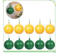 10 Pièces Piège à Mouches des Fruits avec Tueur de Moucherons Collant Attrape Mouche Efficace pour Cuisine Intérieur Extérieur