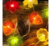 10 pieds 30 LED Lumières de lanterne en forme de feuille d'érable et de citrouille, Lumières de ficelle de feuille d'érable et de citrouille à LED blanc chaud, Lumières de décoration d'Halloween alime