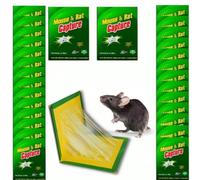 10 pièges à souris, rats, colle forte, colle forte, plâtre aromatisé, achat de piège, petit piège collant pour insectes. Papetier