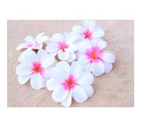 10 Tetes de Fleur Frangipanier artificielle en tissu rose & blanc Étiquette