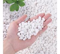 100/300/500/800g Galets décoratifs blancs - Tailles assorties 0,3-3cm Pierres décoratives, convenant pour les jardins extérieurs, les plantes en pot, les pots de fleurs, les vases, les succulentes, le